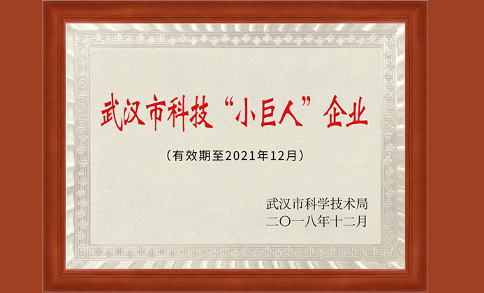 武漢市科技小巨人企業(yè)